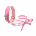 Collar And Leash