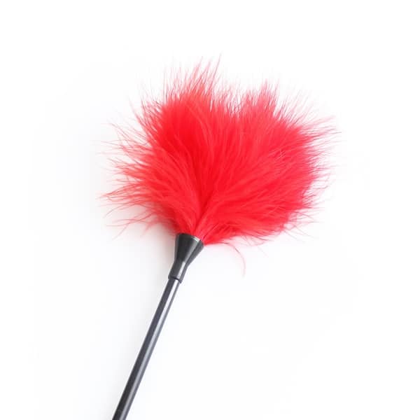 Round Feather Tickler  40cm