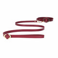 Ouch Halo Collar With Leash
