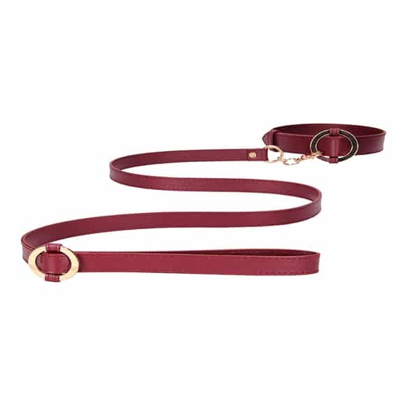 Ouch Halo Collar With Leash